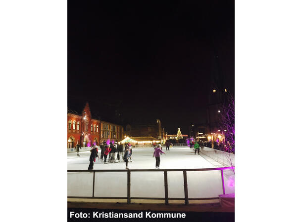Mobil kunstisbane Pris på forespørsel 