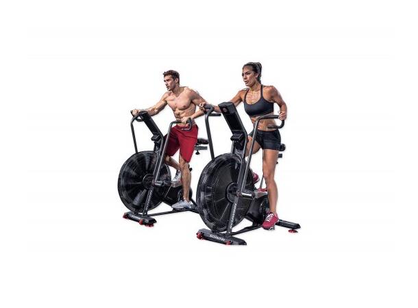 SCHWINN Elipsemaskin Airdyne AD8 Pro 