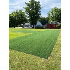 Hybridgress CL 2802 Fotball