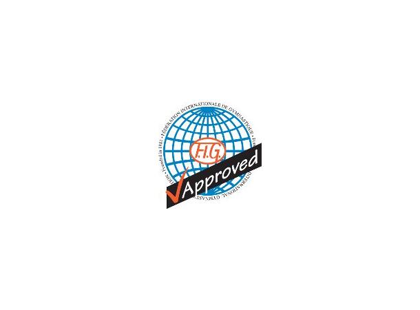 TOGU® FIG GYMNASTIKBALL KÜBLER SPORT