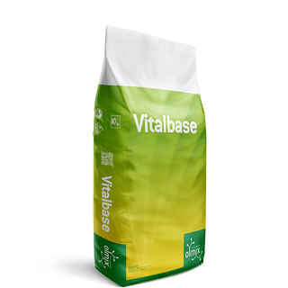MARATHON VITALBASE 4,65-1,3-1,8+micro