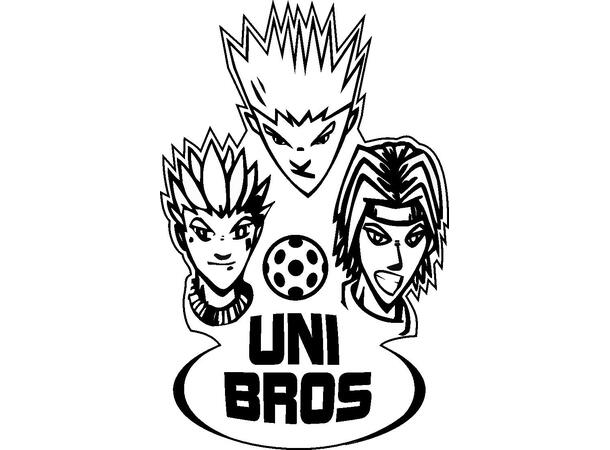 Sett: Innebandykøller Unibros® Reiku 12 køller 95cm og 6 baller 