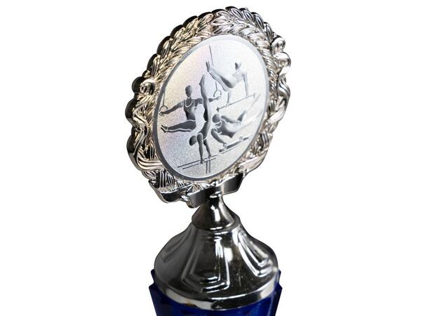 Silver Champion - Sølv Fotball 27,5 cm 