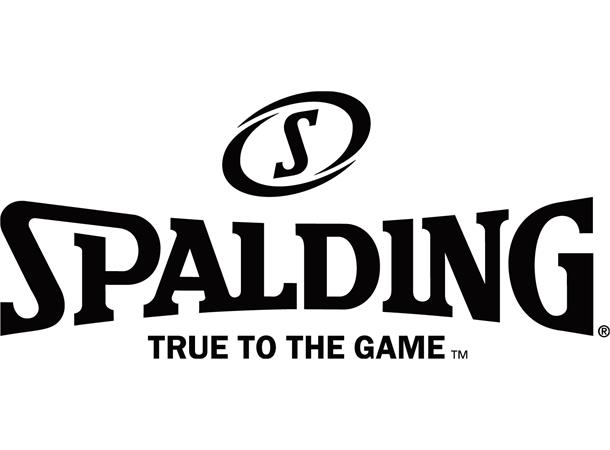 Spalding® Basketball NBA Silver Composit Størrelse 7