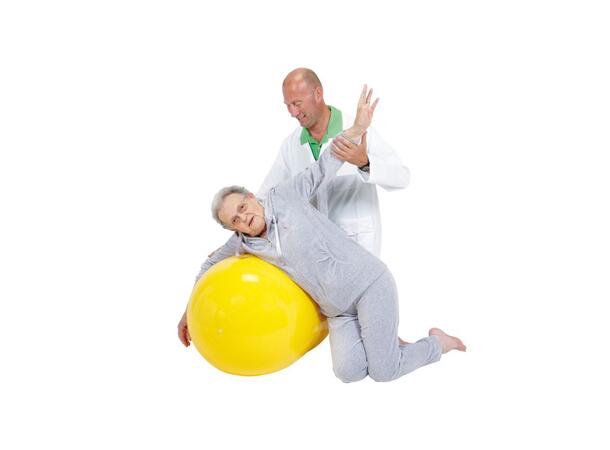 Physio Roll Ø 55 cm, Gul