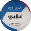Gala® FIVB godkjent Volleyball Proline BV5595S