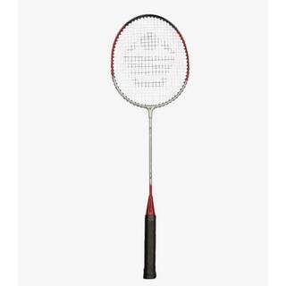 Badmintonracket Skole