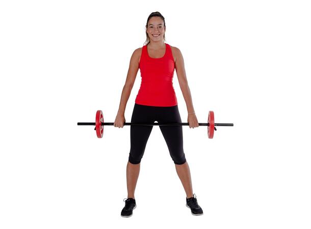 BodyPump sett 20 kg 