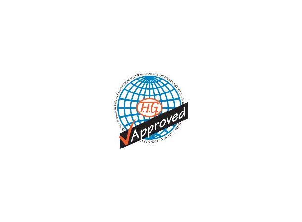 TOGU® FIG GYMNASTIKBALL KÜBLER SPORT 