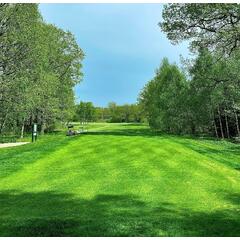 Hybridgress CL1201 Golf Golf tees