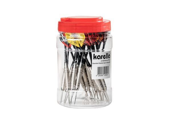Dartpiler med stålspiss 24 stk 