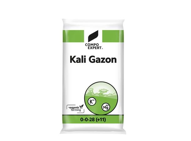 Compo Kali Gazon 0-0-22,4+6,6Mg 