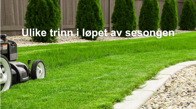 Fjerne Mose på Plen: En Komplett Guide for en Sunn og Grønn Plen